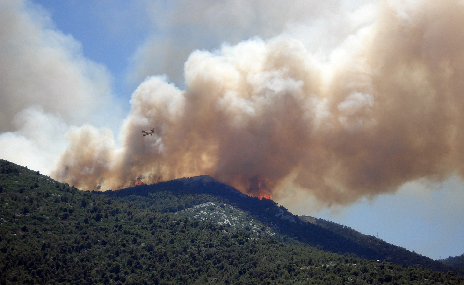 حريق جديد في غابات فرنسا يغطي 1000 هكتار !